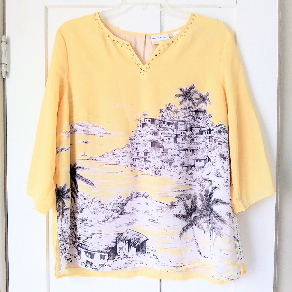 Alfred Dunner Sheer Layered Top